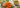 KI-generiertes Titelbild (beispielhaft): Cordyceps