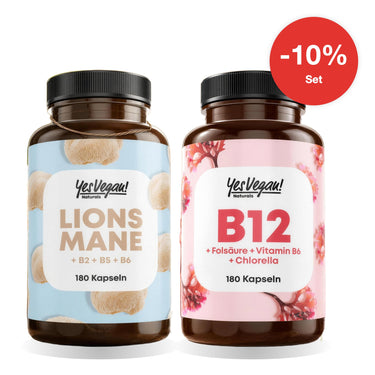 KI-generierte Abbildung (beispielhaft): Fokus-Duo: Lions Mane + Vitamin B12 – Set, 10% sparen