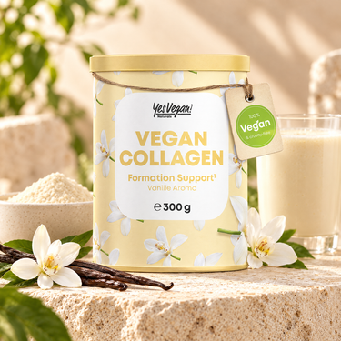 KI-generierte Abbildung (beispielhaft): Yes Vegan Vegan Collagen Vanille – veganes Collagen-Pulver, 300 g