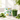KI-generierte Abbildung (beispielhaft): Yes Vegan Daily Greens – Editorial Lifestyle Visual