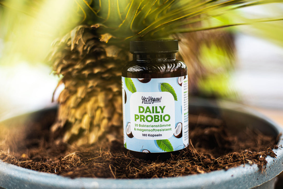 Probiotika zum Abnehmen – wie eine gesunde Darmflora dein Wohlbefinden unterstützen kann