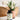 Bestseller – Vegan Complete
