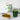 KI-generierte Abbildung (beispielhaft): Yes Vegan Daily Greens Superfood Trinkpulver 300 g mit grünem Smoothie