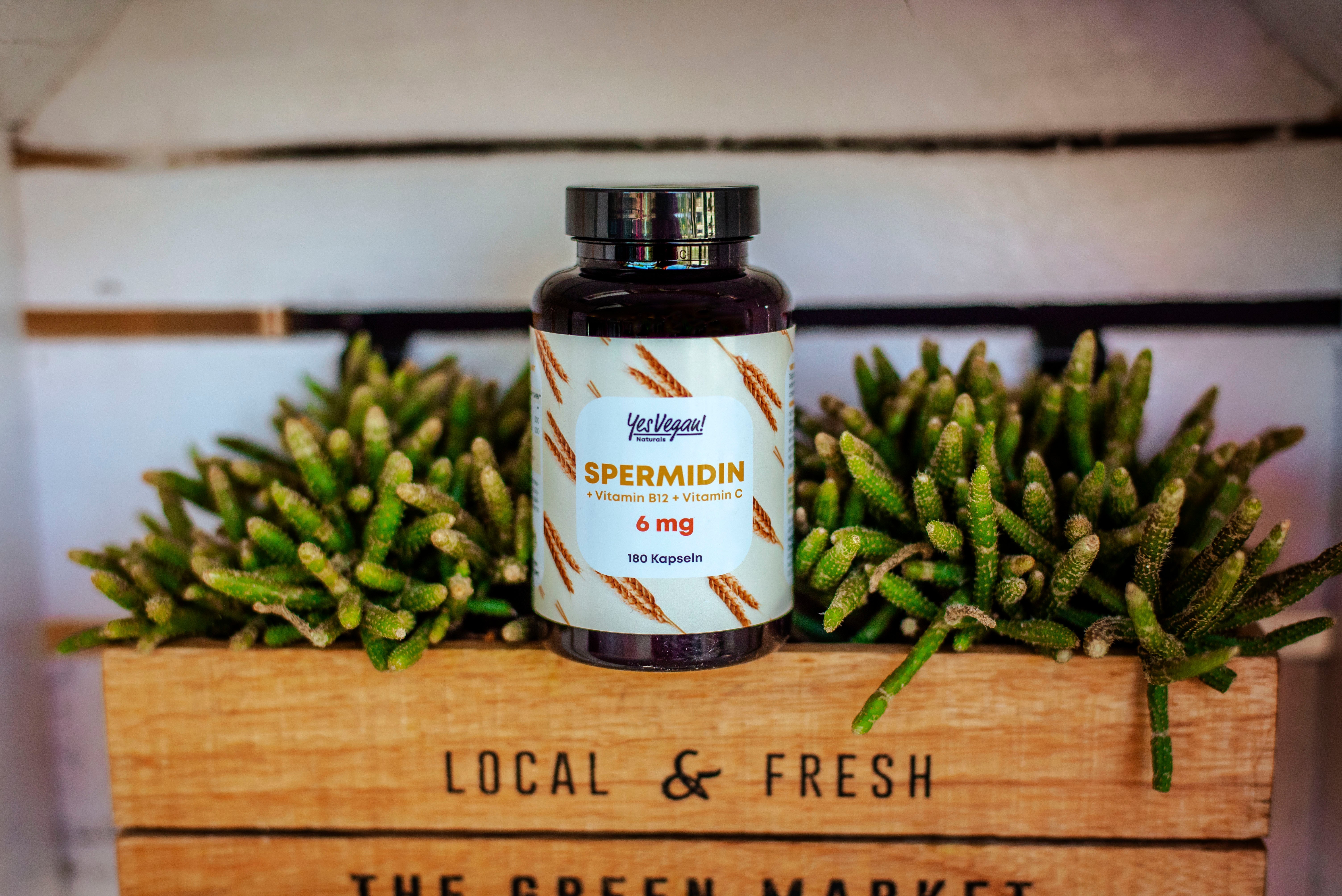 Yes Vegan Spermidin Dose in Holzkiste mit Sukkulenten