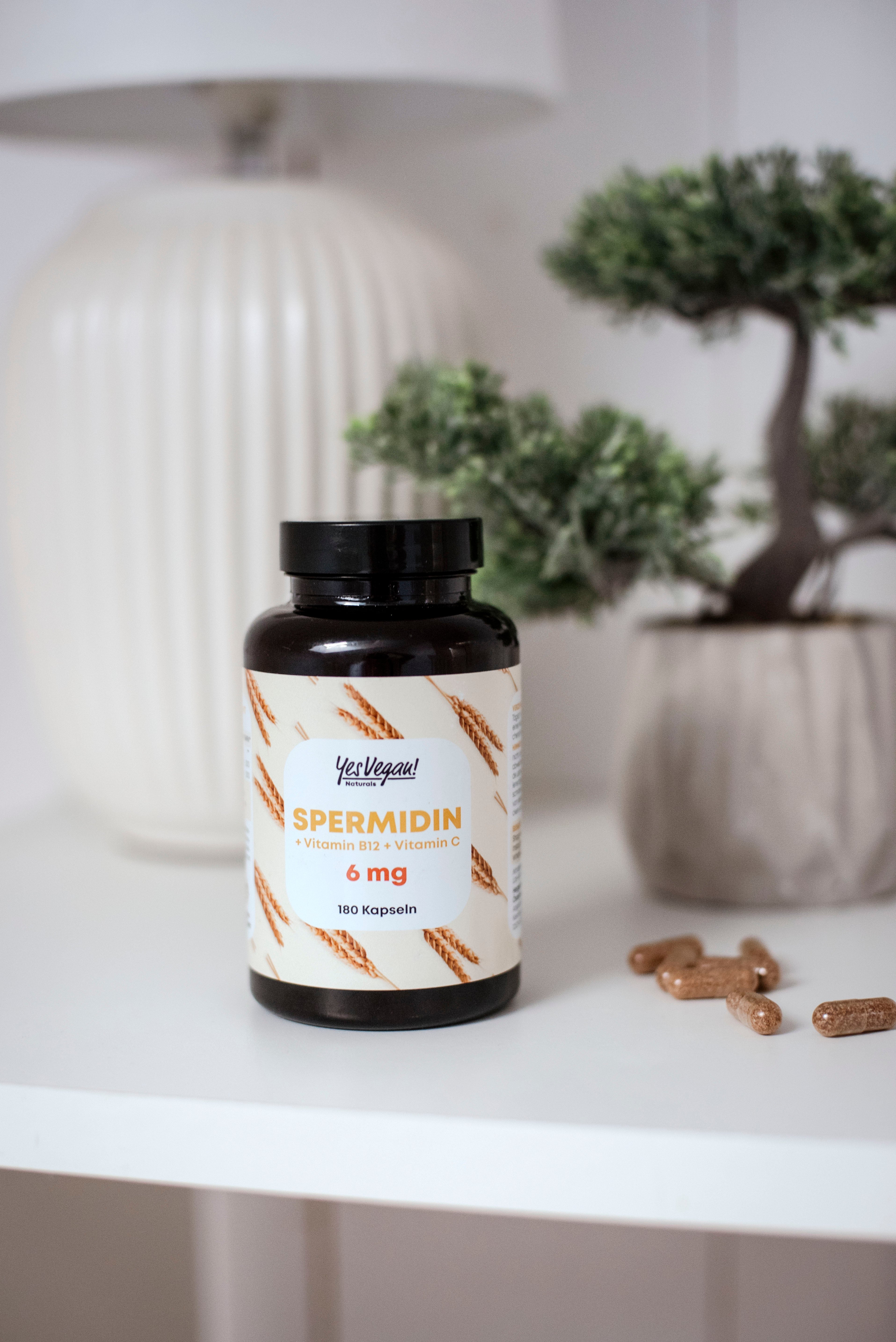Yes Vegan Spermidin 6 mg + Vitamin B12 + Vitamin C 180 Kapseln im Regal mit Bonsai