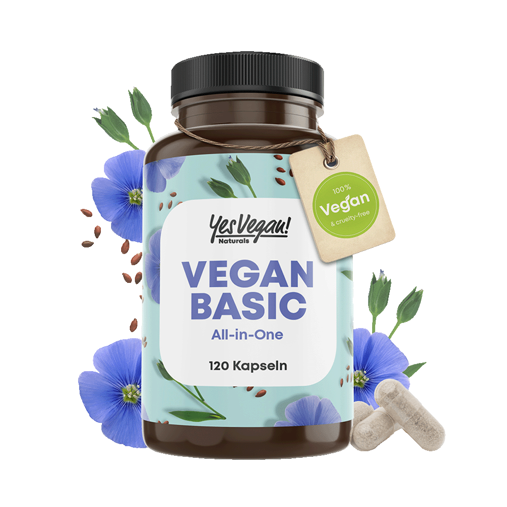 VEGAN BASIC