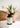Yes Vegan Vegan Complete All-in-One 120 Kapseln mit weißer Hyazinthe
