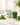 KI-generierte Abbildung (beispielhaft): Yes Vegan Daily Greens – Editorial Lifestyle Visual
