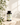 KI-generierte Abbildung (beispielhaft): Yes Vegan Vegan Complete – Editorial Lifestyle Visual