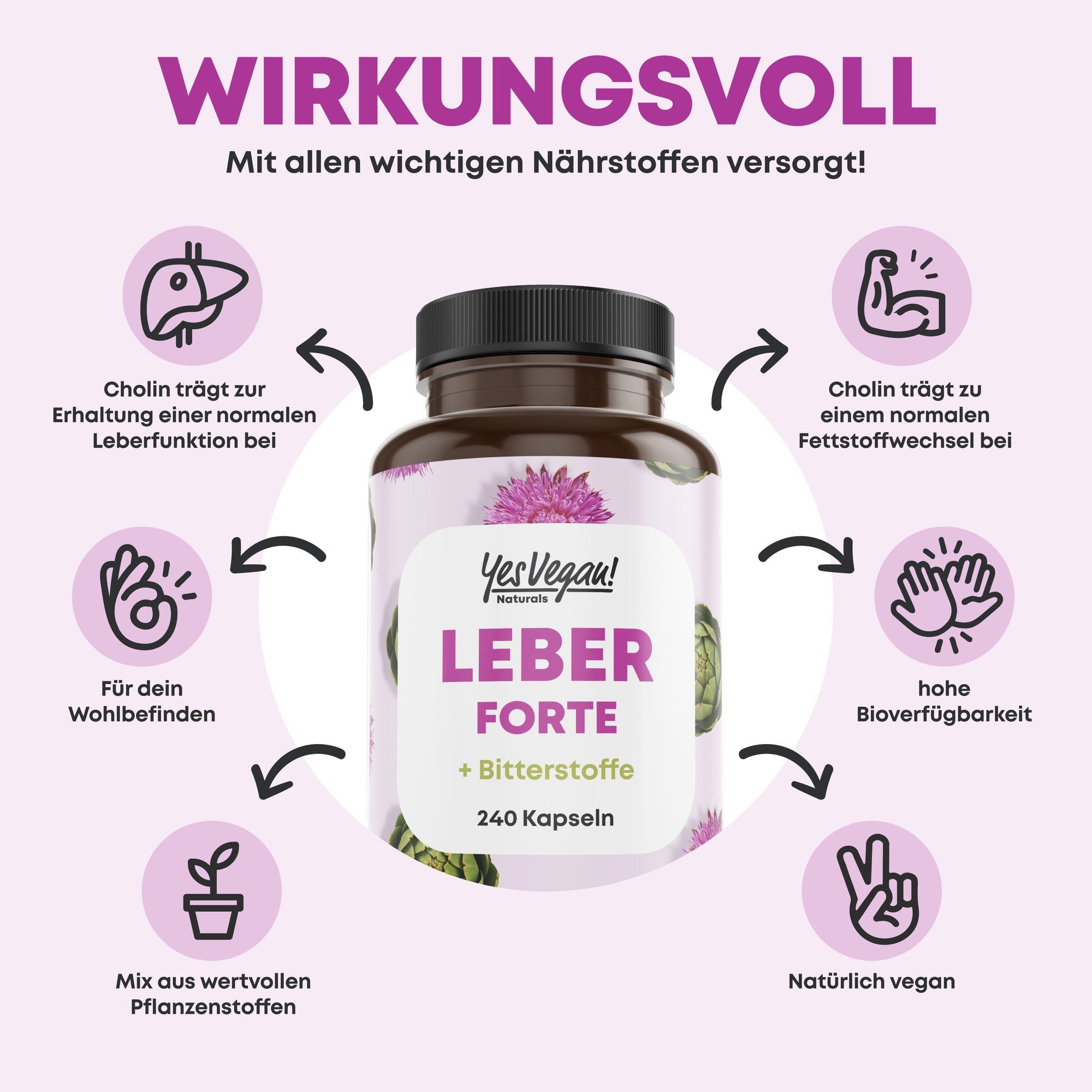 Leber Forte – Cholin trägt zur Erhaltung einer normalen Leberfunktion und zu einem normalen Fettstoffwechsel bei
