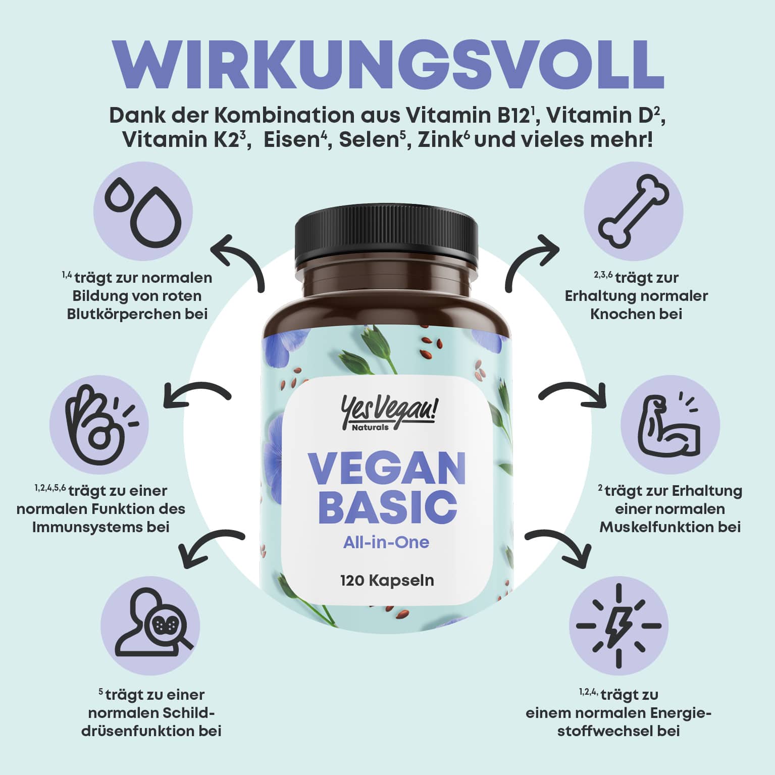 VEGAN BASIC